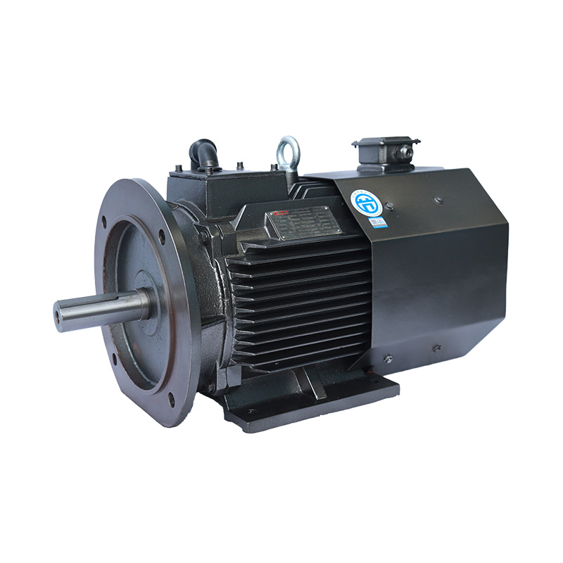 Dreiphasiger Permanentmagnet-Synchronmotor der CMT-Serie mit variabler Frequenz