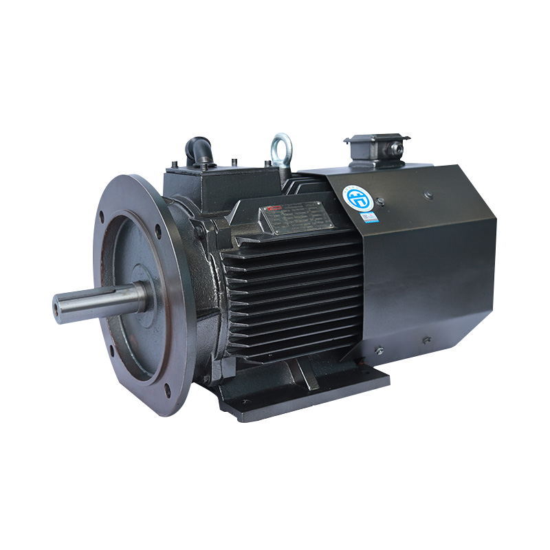 Dreiphasiger Permanentmagnet-Synchronmotor der CMT-Serie mit variabler Frequenz